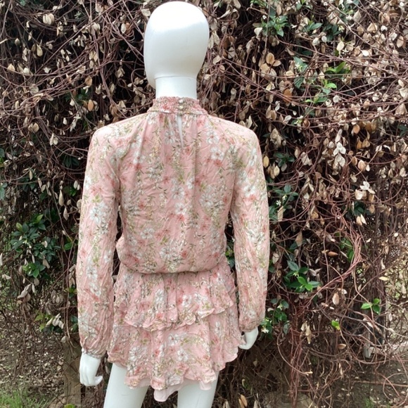 Yumi Kim Class Act In Eden Blush Boho Ruffle Mini Dress - Picture 5 of 9